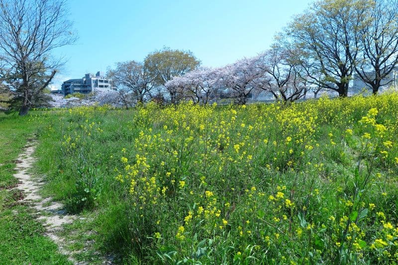 spring-promo-img-2